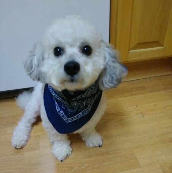 Like this! Live jewelry show notification! - Picture 10 of 12